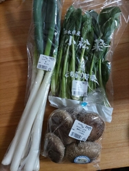 可愛い寄せ植え...