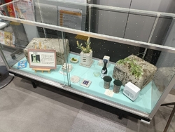 予約していた本...