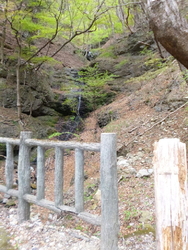 がま石トンネル...