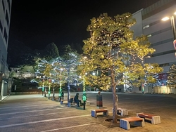 うつのみやイル...