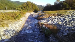 画像は、川沿い...