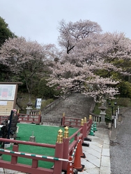 4月5日に訪れ...