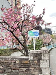 御橋～出雲橋で...