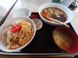 今回は、栃木産...