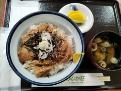 日帰り入浴と食...