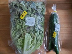 外には可愛いパ...