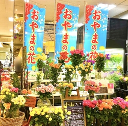 前回購入したピ...