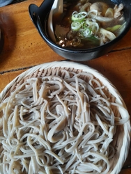 霧降の滝を見に...