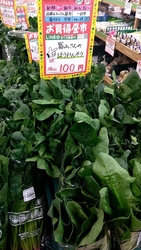 気付けば手に取...