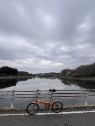 今日は曇りのち...