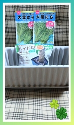 野菜の高値が止...