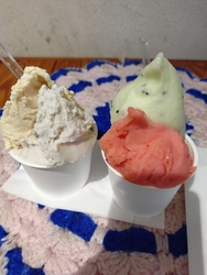 佐野へ行く途中...