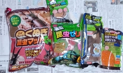 カブトムシの飼...