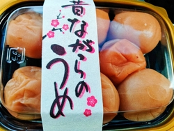 那須町ファンポ...