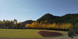 鹿沼運動公園 ヤオハン いちごパーク 鹿沼市の公園 屋内プール 栃ナビ 鹿沼運動公園 ヤオハン いちごパーク 鹿沼市の公園 屋内プール 栃ナビ