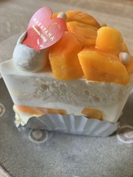 マンゴーケーキ...