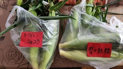 美味しいとうも...