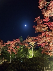 今年も紅葉とラ...