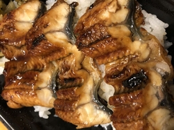 土用の丑から１...