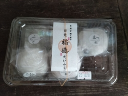 日光東照宮にお...
