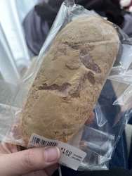 こちらに入って...