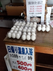 第8回塩原雛巡...