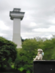 久しぶりにお丸...