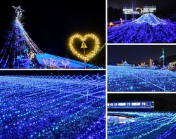今年もイルミネ...