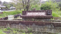 サーフさん、ミ...