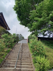 春の陶器市を見...
