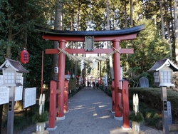 初詣に行きまし...