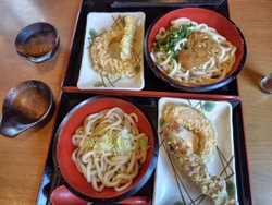 ぽかぽか陽気の...