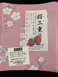 羽二重いちご大...