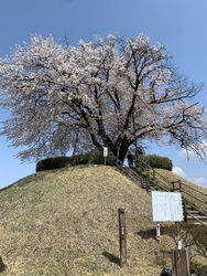 都賀方面に用事...