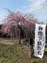 堂の下の岩観音...