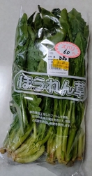 平日雨の午後訪...
