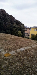 ここ(佐野市文...