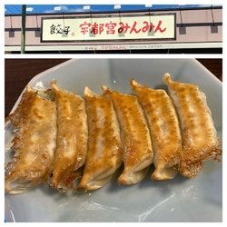 餃子の代表的な...