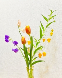 一足早く春の花...