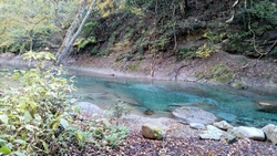 久しぶりにめっ...