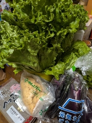 レタスが欲しく...