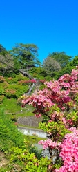 花木センターに...