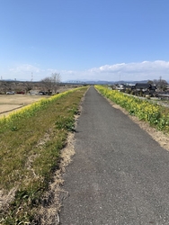 渡良瀬川左岸の...