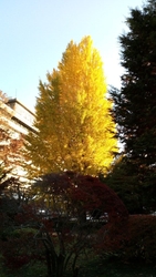 日常生活の中に...