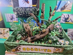 夏休み“世界の...