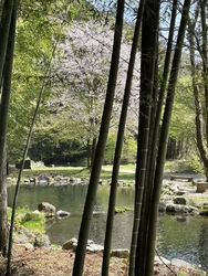 初めての訪問で...