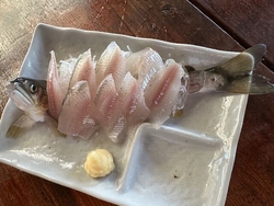鮎を食べに行こ...