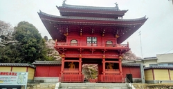 蒲生神社から徒...