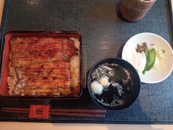 夏は家族でうな...