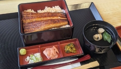 「並」の梅をい...